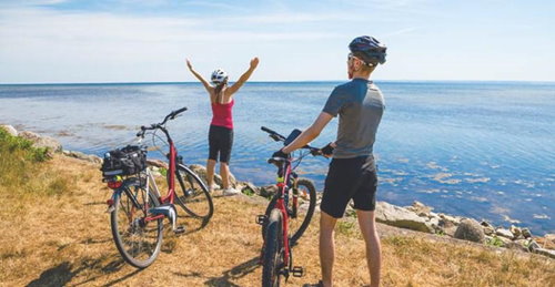 Cycle Waiheke